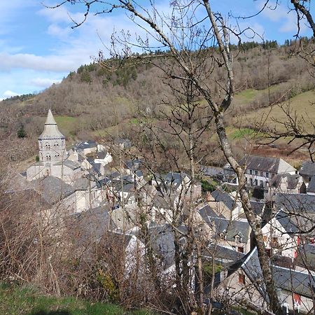 Gite Les Bois Orcival Buitenkant foto