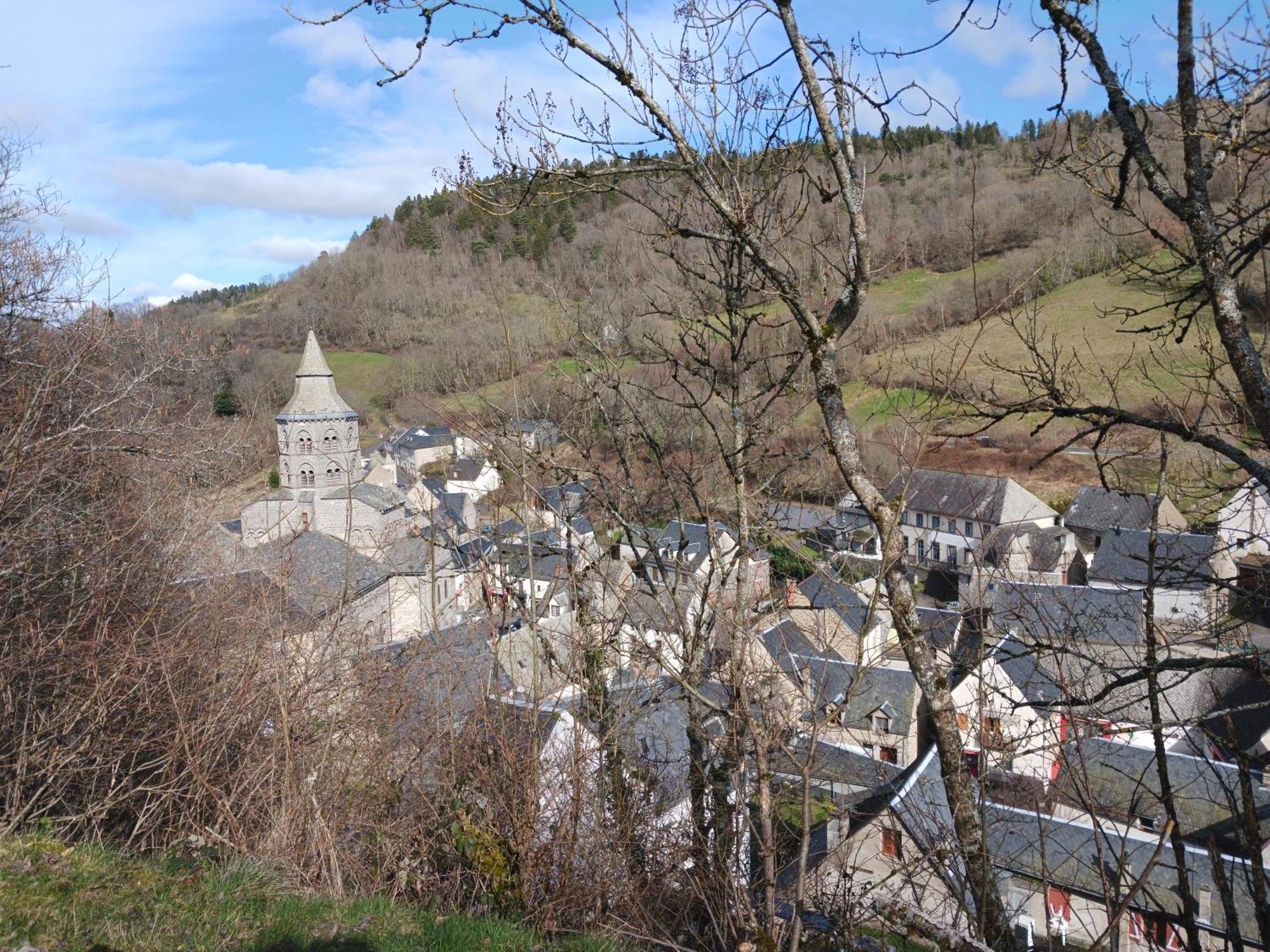 Gite Les Bois Orcival Buitenkant foto